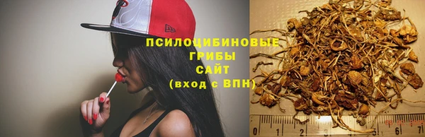 не бодяженный Алексин