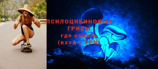 бошки Алексеевка