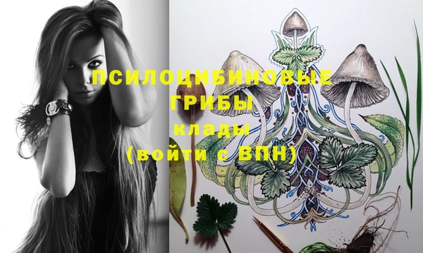 молекула духа Алзамай