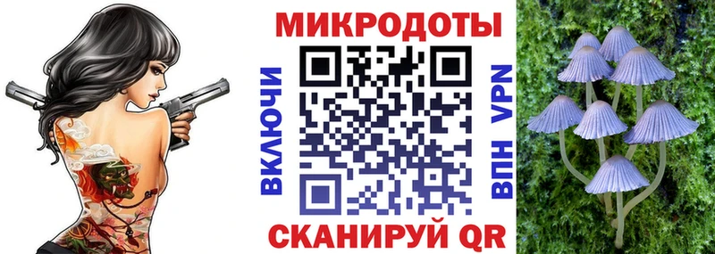 наркошоп  Устюжна  hydra маркетплейс  Псилоцибиновые грибы мухоморы 